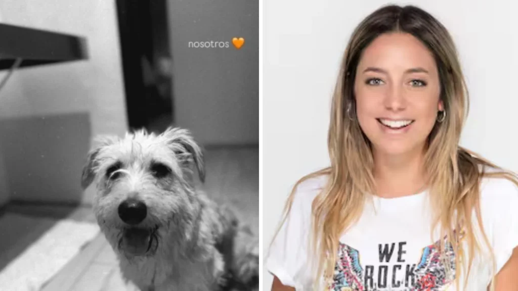 ¿Quién es Willow? Sofía Martínez y su perro son tendencia en redes sociales ¿Qué pasó?