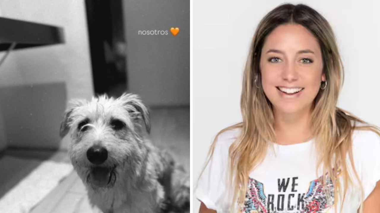 ¿Quién es Willow? Sofía Martínez y su perro son tendencia en redes